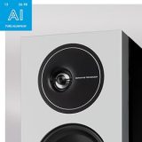 DEFINITIVE TECHNOLOGY D15