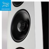 DEFINITIVE TECHNOLOGY D15