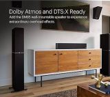 Definitive-Technology DM60