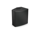 Bose ArenaMatch AMM108 - Vista 6