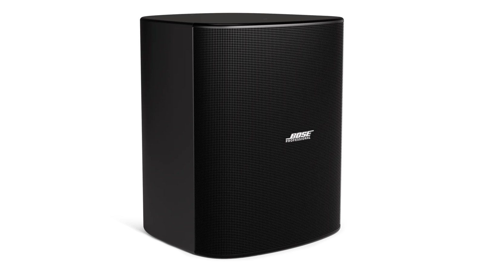 Bose DesignMax DM12SE