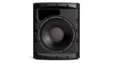 Bose DesignMax DM12SE - Vista 3
