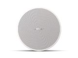 Bose DesignMax DM2C-LP - Vista 1