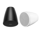 Bose DesignMax DM3P - Vista 2