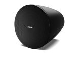 Bose DesignMax DM5P - Vista 1