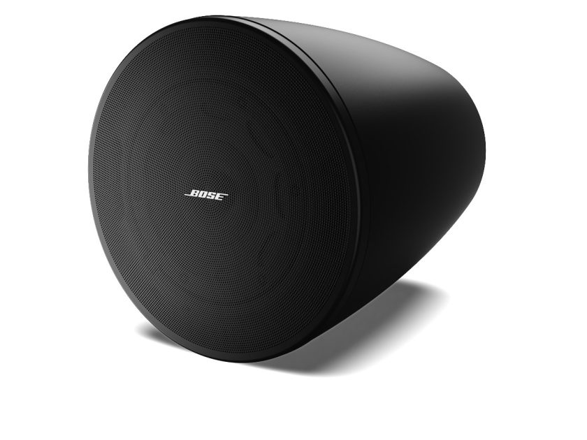 Bose DesignMax DM6PE