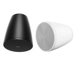 Bose DesignMax DM6PE - Vista 2
