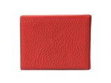 Chord Electronics Hugo 2 Slim Case - Vista 4