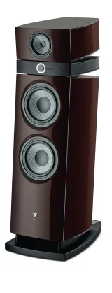Focal Maestro EVO - Vista 2