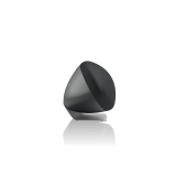 B&W Zeppelin Pro Edition